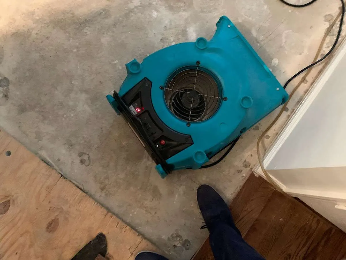 Air mover drying subfloor during Leak Detection & Repair in Sandpoint